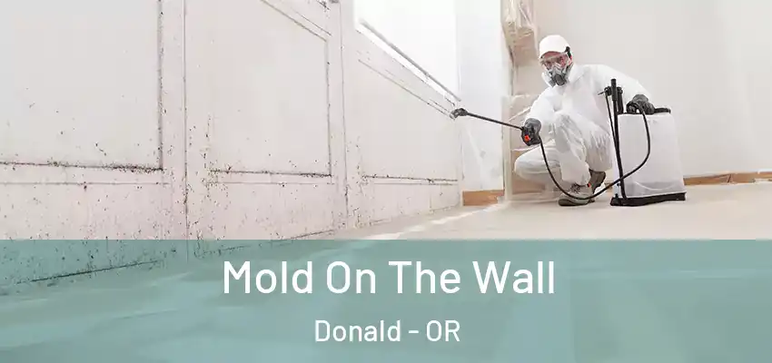  Mold On The Wall Donald - OR