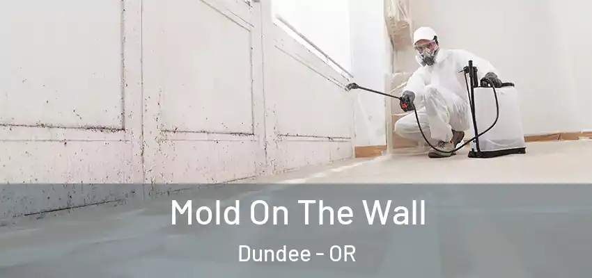  Mold On The Wall Dundee - OR