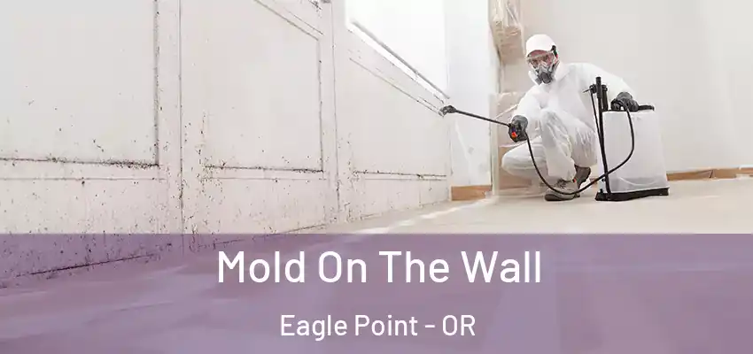  Mold On The Wall Eagle Point - OR