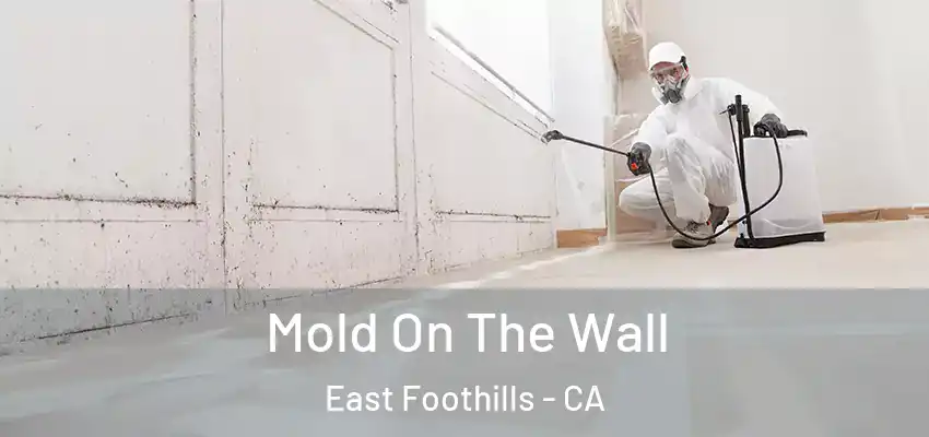  Mold On The Wall East Foothills - CA