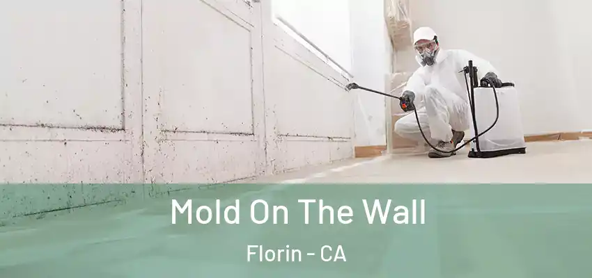  Mold On The Wall Florin - CA