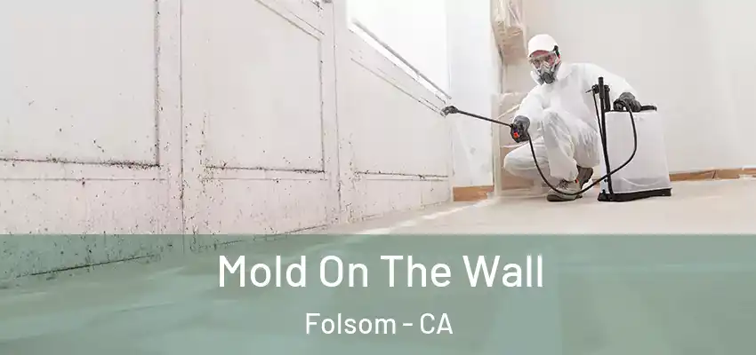  Mold On The Wall Folsom - CA