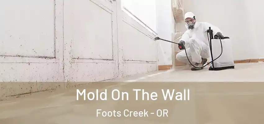  Mold On The Wall Foots Creek - OR