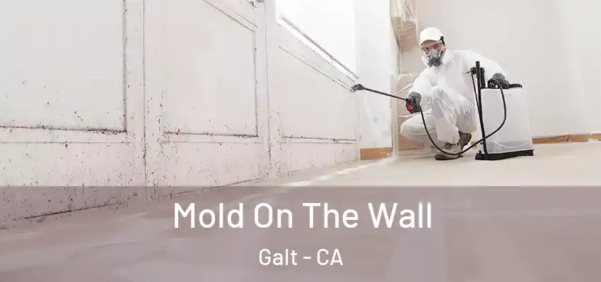  Mold On The Wall Galt - CA