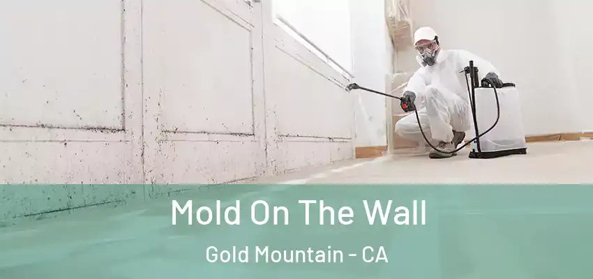  Mold On The Wall Gold Mountain - CA
