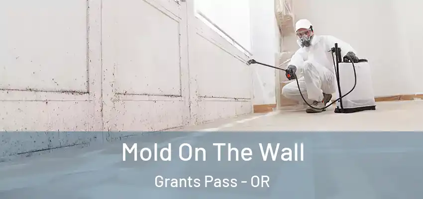  Mold On The Wall Grants Pass - OR