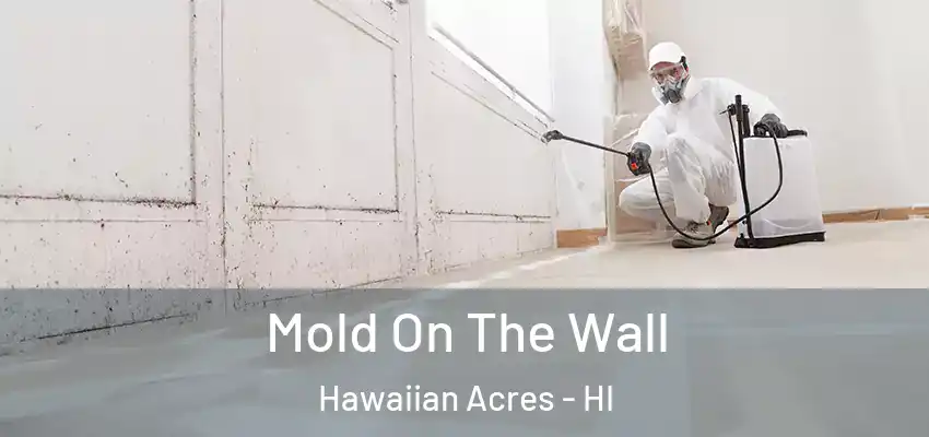  Mold On The Wall Hawaiian Acres - HI