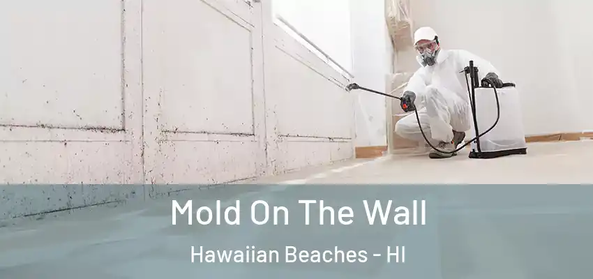  Mold On The Wall Hawaiian Beaches - HI