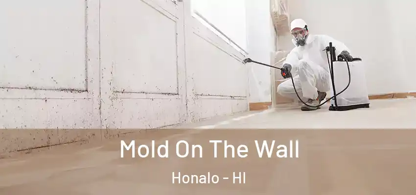  Mold On The Wall Honalo - HI