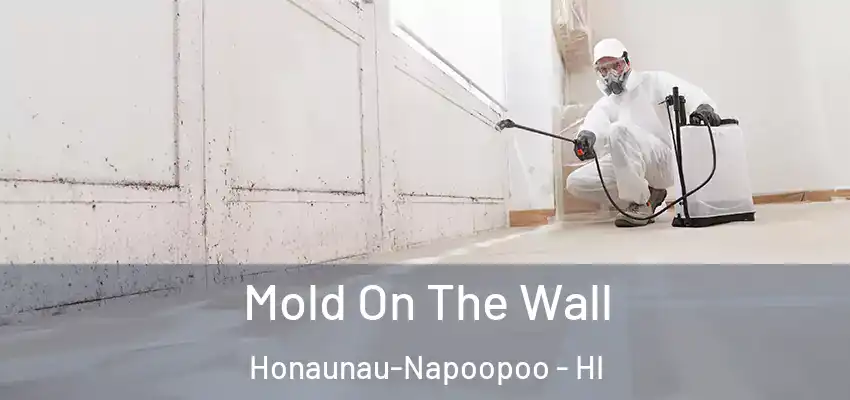  Mold On The Wall Honaunau-Napoopoo - HI