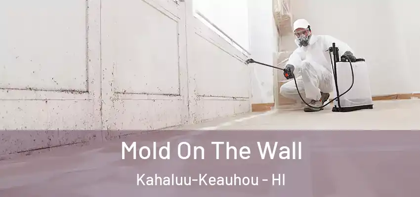  Mold On The Wall Kahaluu-Keauhou - HI
