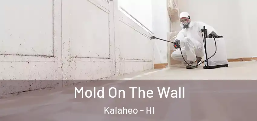  Mold On The Wall Kalaheo - HI