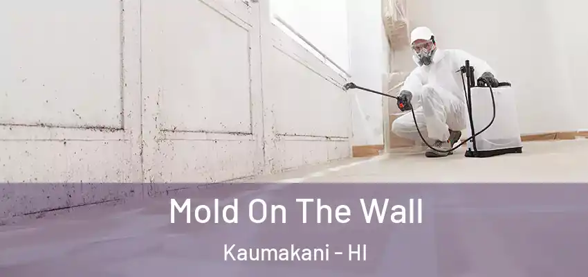  Mold On The Wall Kaumakani - HI