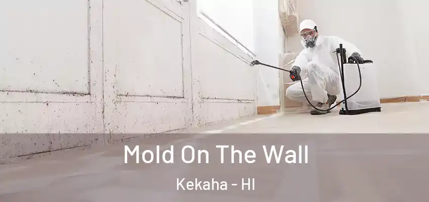  Mold On The Wall Kekaha - HI