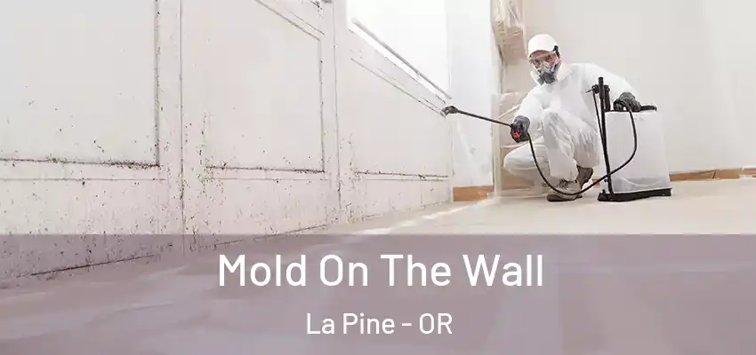  Mold On The Wall La Pine - OR
