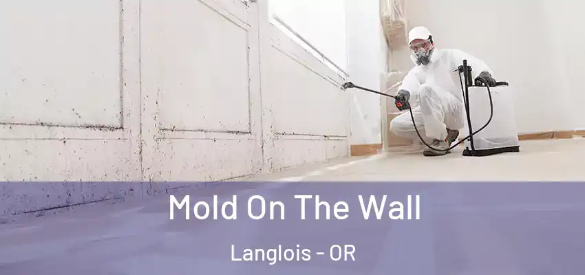  Mold On The Wall Langlois - OR