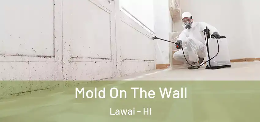  Mold On The Wall Lawai - HI