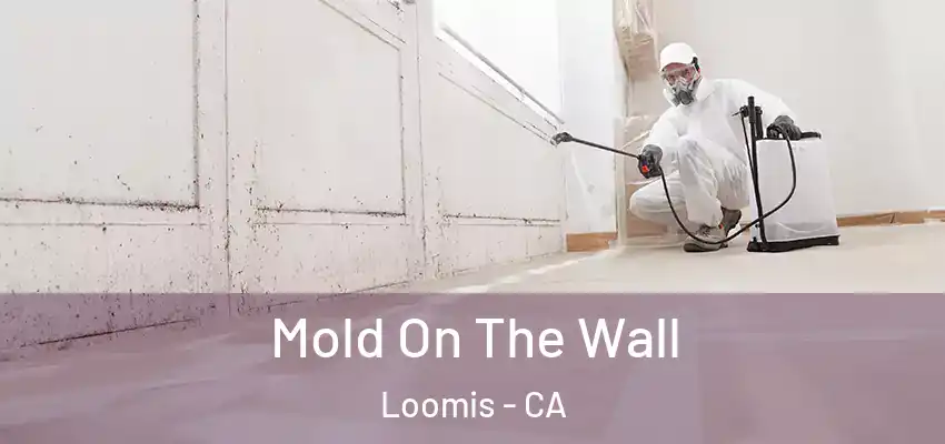  Mold On The Wall Loomis - CA