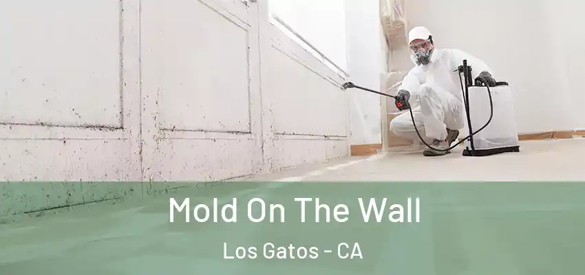  Mold On The Wall Los Gatos - CA