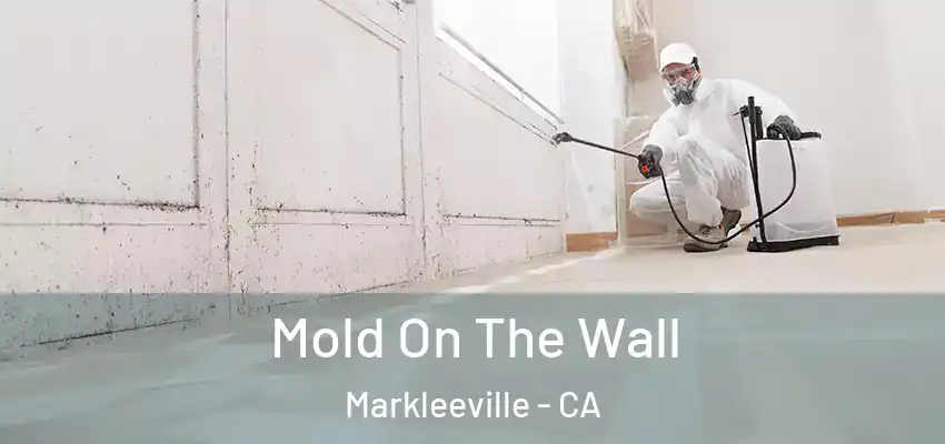  Mold On The Wall Markleeville - CA