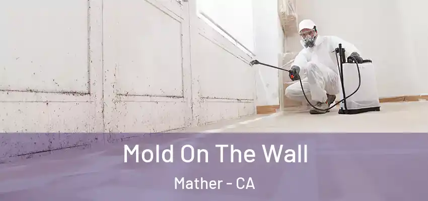  Mold On The Wall Mather - CA
