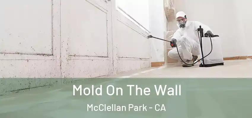 Mold On The Wall McClellan Park - CA
