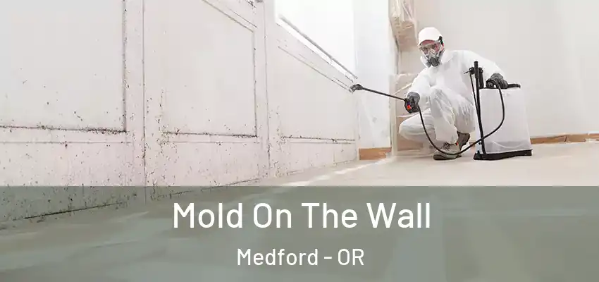 Mold On The Wall Medford - OR