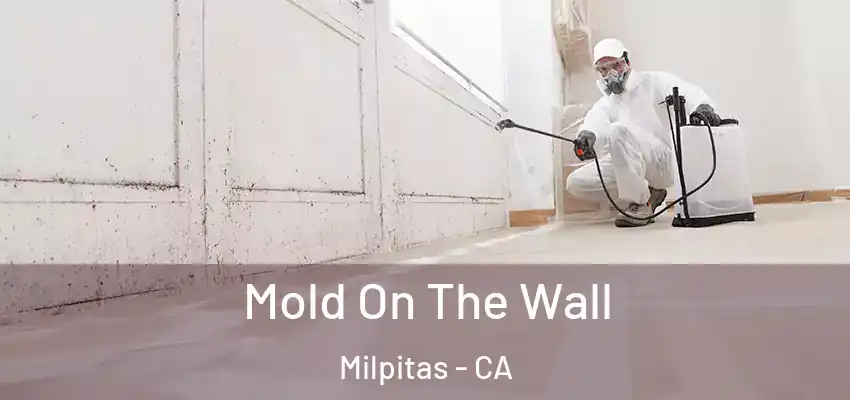  Mold On The Wall Milpitas - CA
