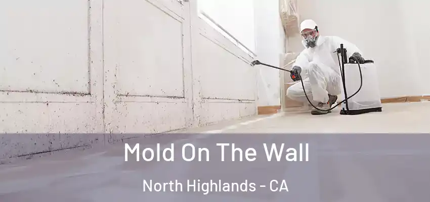  Mold On The Wall North Highlands - CA
