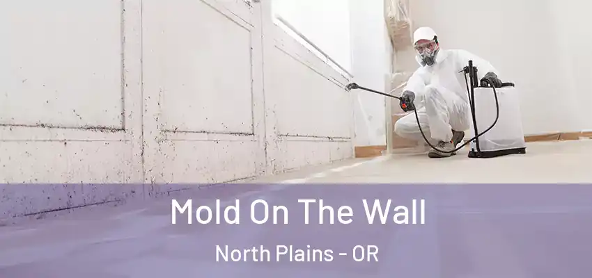 Mold On The Wall North Plains - OR