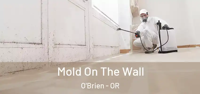  Mold On The Wall O'Brien - OR