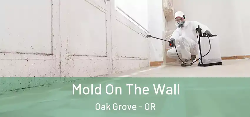  Mold On The Wall Oak Grove - OR