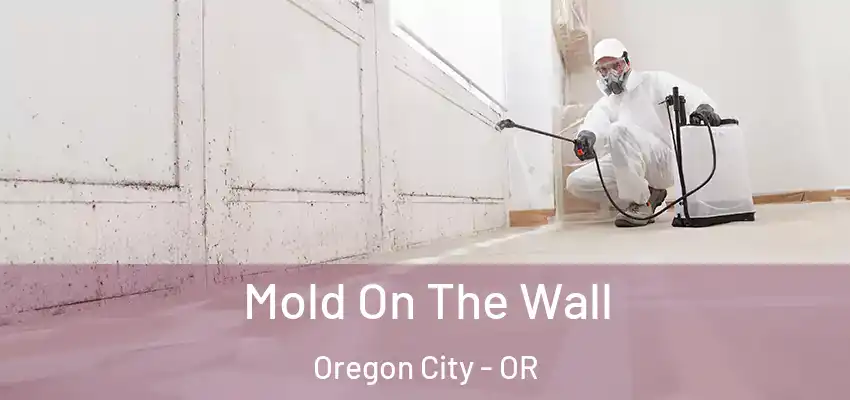  Mold On The Wall Oregon City - OR