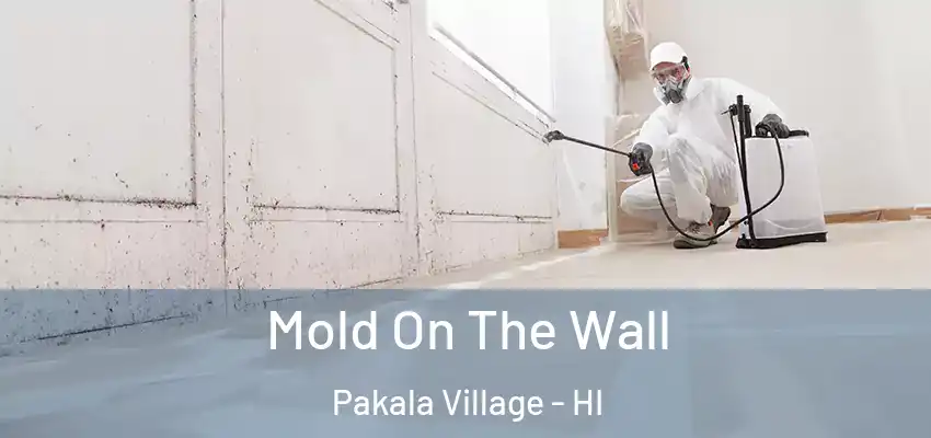  Mold On The Wall Pakala Village - HI