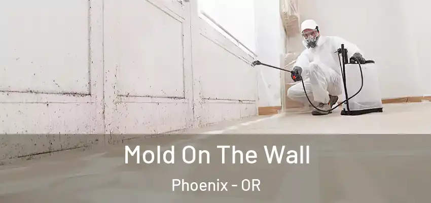  Mold On The Wall Phoenix - OR