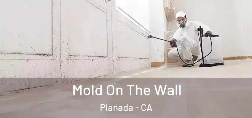  Mold On The Wall Planada - CA
