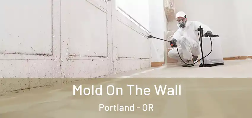  Mold On The Wall Portland - OR