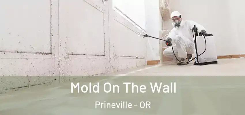  Mold On The Wall Prineville - OR