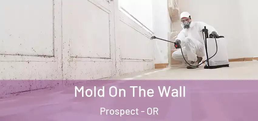  Mold On The Wall Prospect - OR