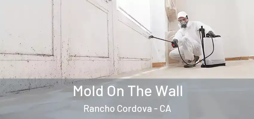 Mold On The Wall Rancho Cordova - CA