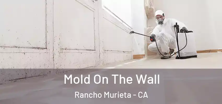  Mold On The Wall Rancho Murieta - CA