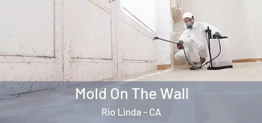 Mold On The Wall Rio Linda - CA