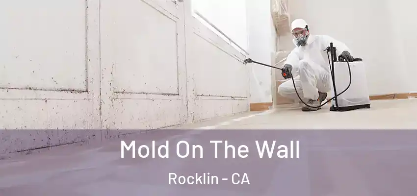  Mold On The Wall Rocklin - CA