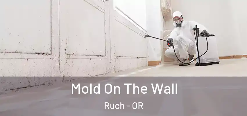  Mold On The Wall Ruch - OR
