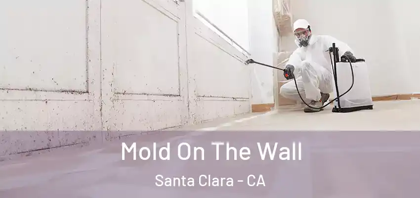 Mold On The Wall Santa Clara - CA
