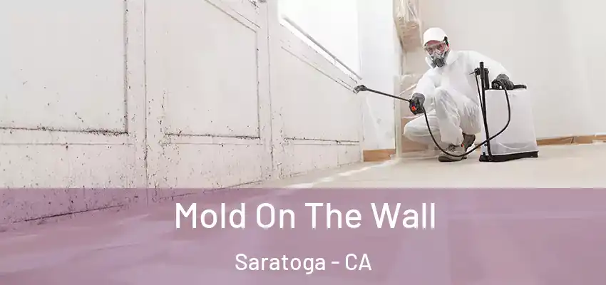 Mold On The Wall Saratoga - CA