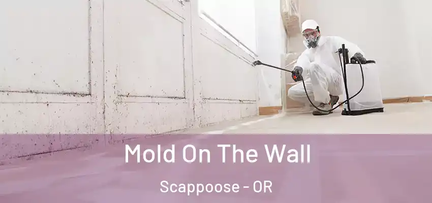  Mold On The Wall Scappoose - OR