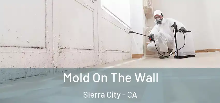  Mold On The Wall Sierra City - CA