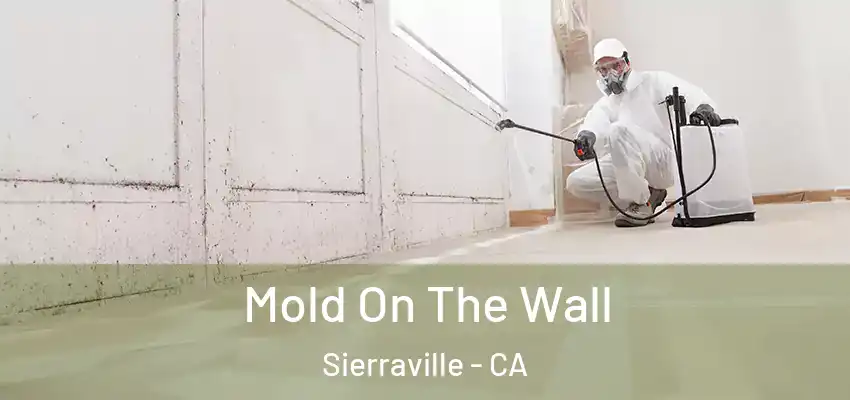  Mold On The Wall Sierraville - CA
