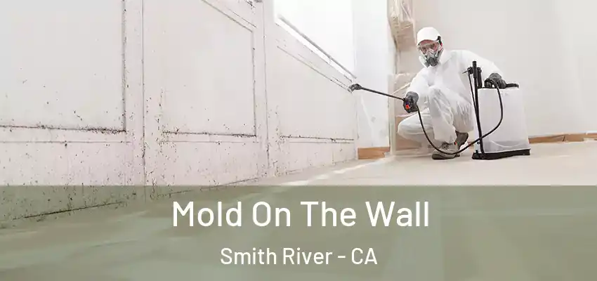  Mold On The Wall Smith River - CA